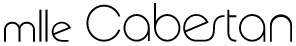 Logo Groupe SANEJO