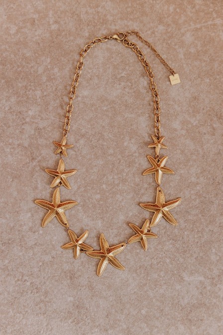 Zoom sur le collier posé sur une plaque. Zoom sur le collier posé sur une plaque.